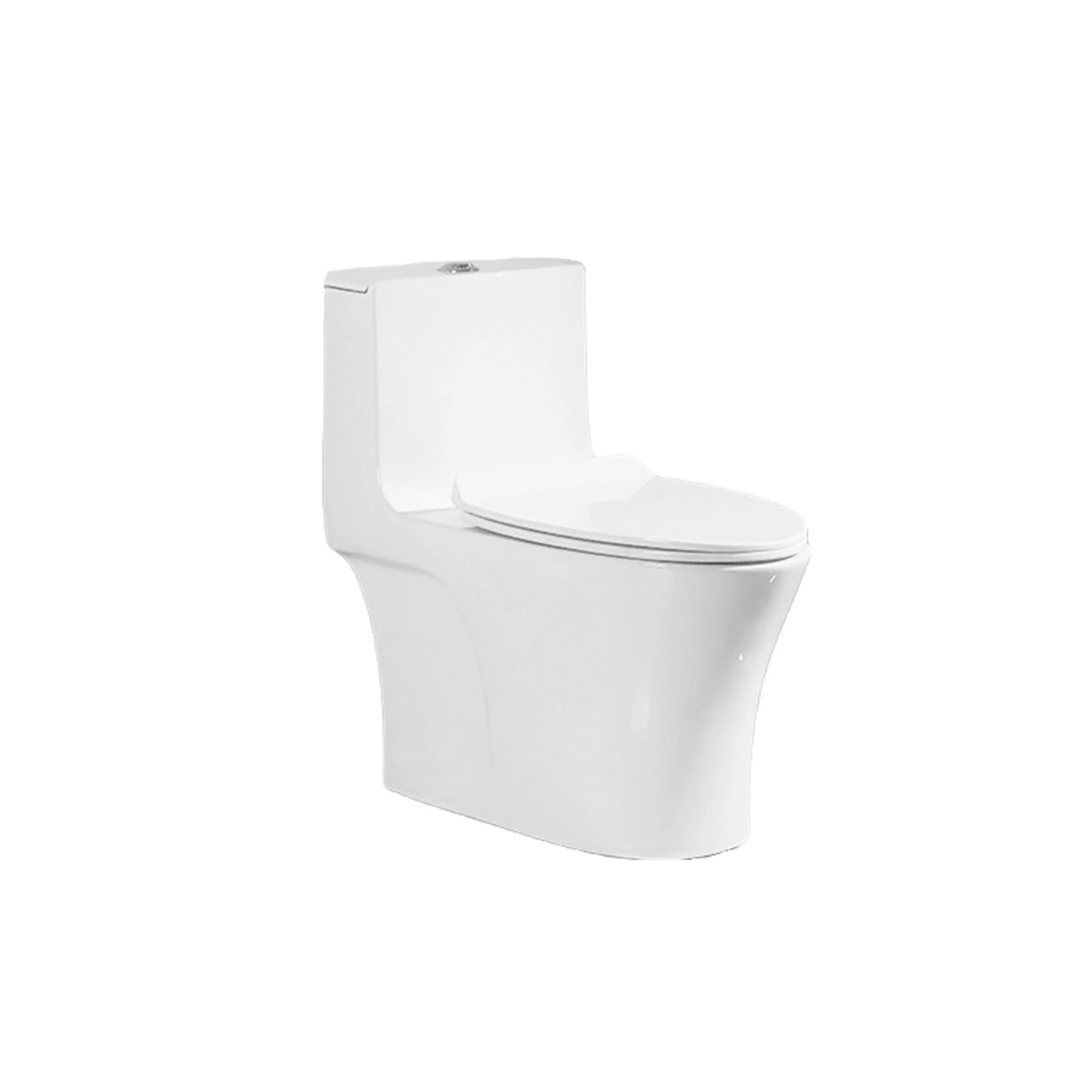 1 piece water closet